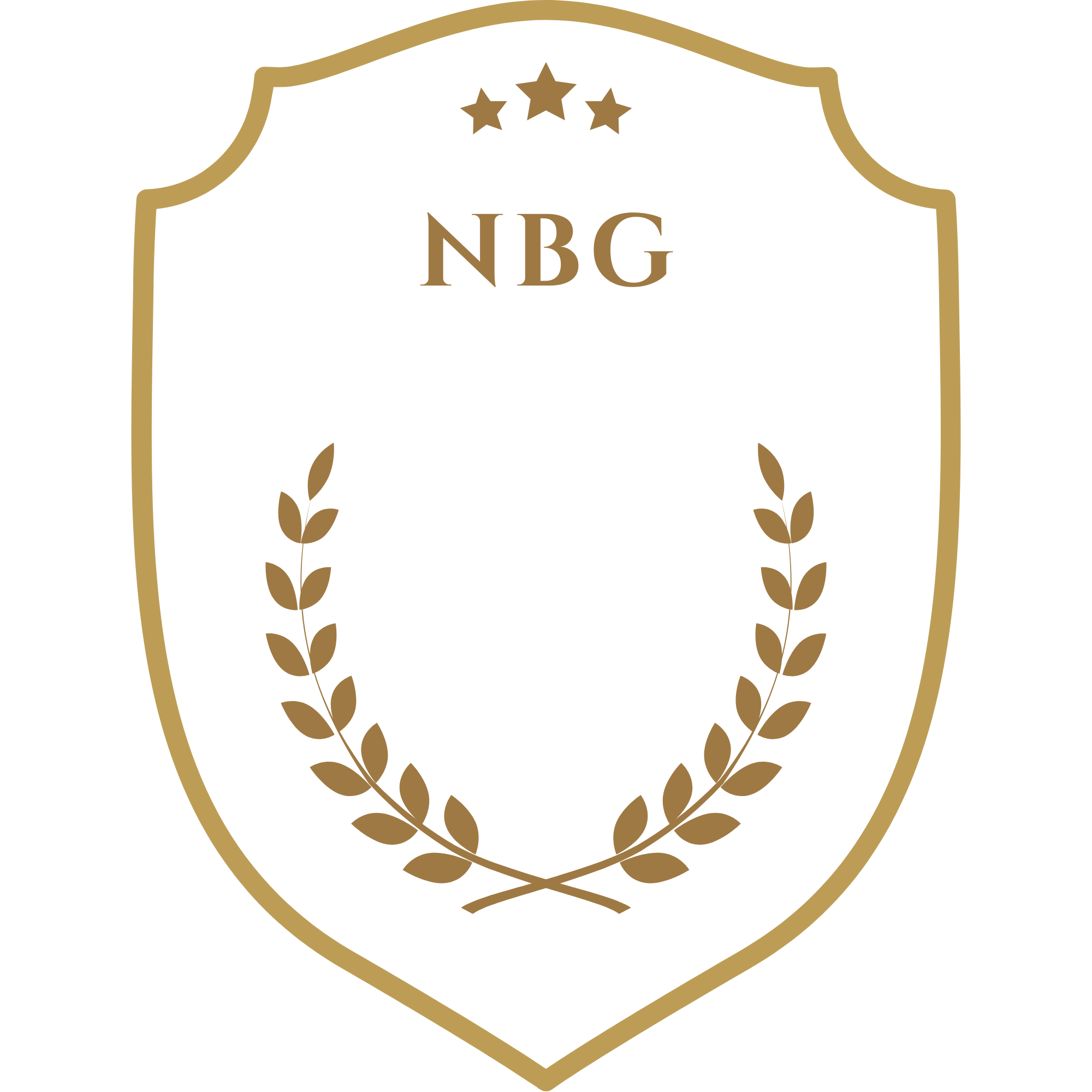 NBG University